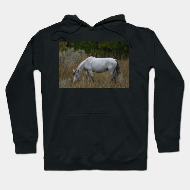 Grey Wild Horse Hoodie by MarieDarcy